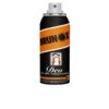 Brunox Gabel-Deo Spray - 100 Ml
