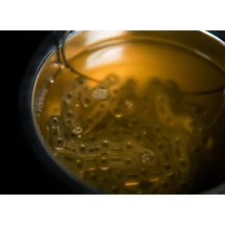 Dynamic Waxifyer Kettenwachs Kocher Set -Tuning Bikes Verkaufe dynamic waxifyer kettenwachs kocher set3