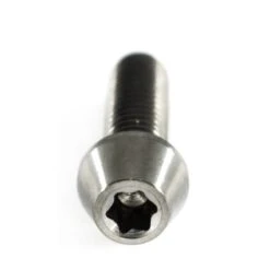Titan Schraube M4 X 25mm - Torx T25 Konischer Kopf 2 Titan Schraube M4 X 25mm - Torx T25 Konischer Kopf -Tuning Bikes Verkaufe titan schraube m4 x 25mm torx t25 konischer kopf3