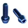 Titan Schrauben - Torx Konischer Kopf - Blau