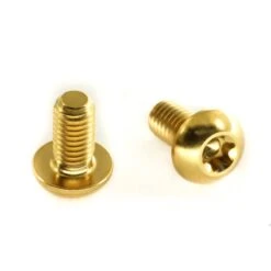 Titan Schrauben - Torx Linsenkopf - Gold Nirtiert