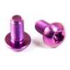Titan Schrauben - Torx Linsenkopf - Violett